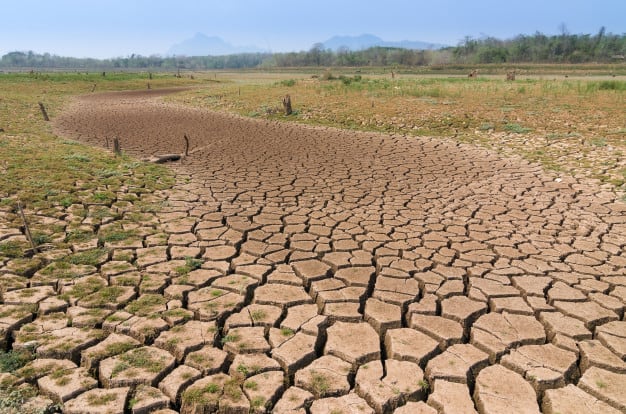 Sequías en los campos