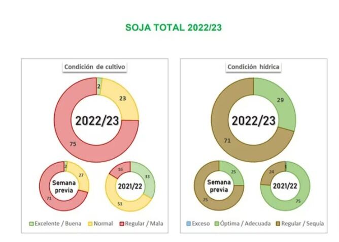 Las expectativas de la cosecha para el 2023.