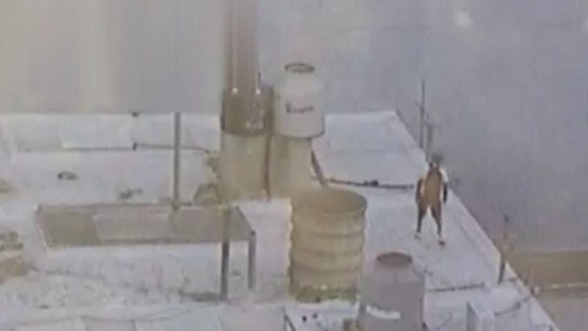 Video: en Córdoba, quiso robarle a una mujer e intentó escapar por los techos