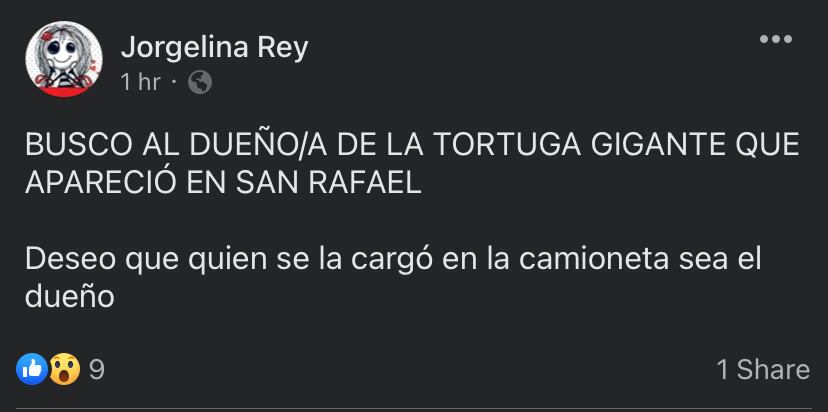 Algunas personas expresaron sus dudas sobre la identidad de la persona que se llevó el animal.