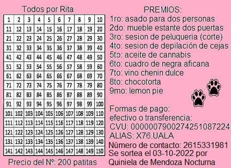 Una veterinaria de Mendoza pide colaboración para costear los gastos de cirugía e internación de una perra que fue atacada.