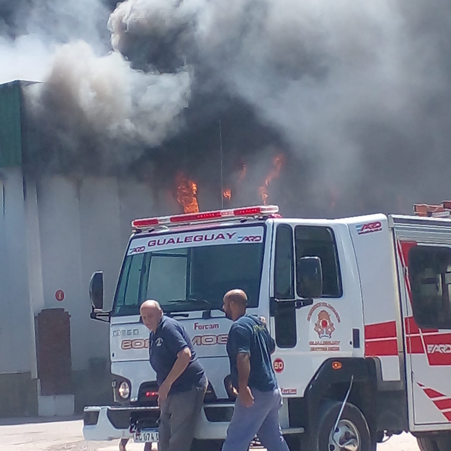 Incendio en planta Avícola Gualeguay. Web.