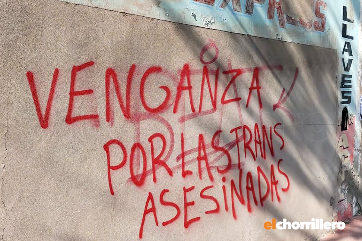 Pintadas en San Luis durante la marcha en el Encuentro Plurinacional de Mujeres.