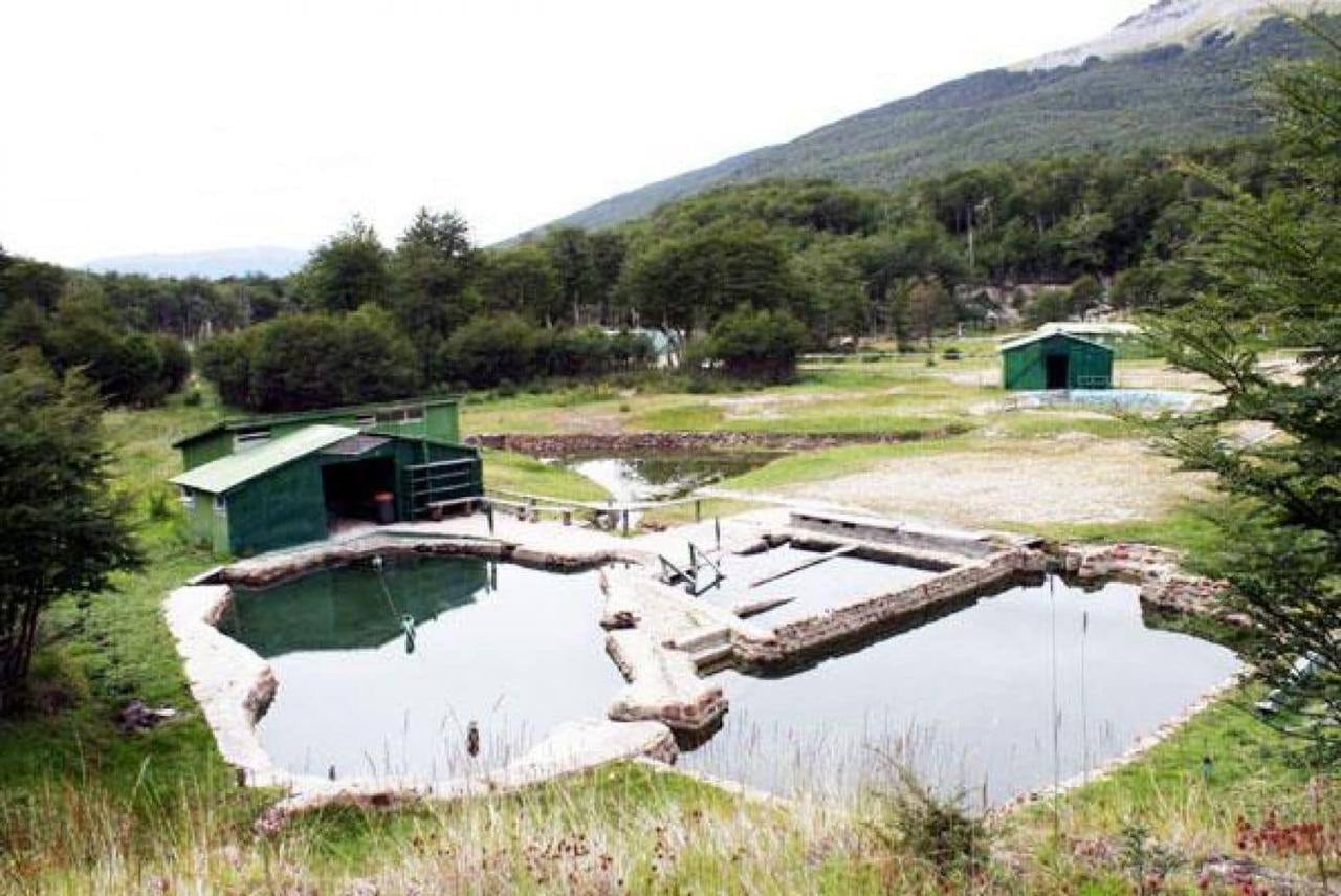 Tolhuin recupera las Termas del Río Valdez