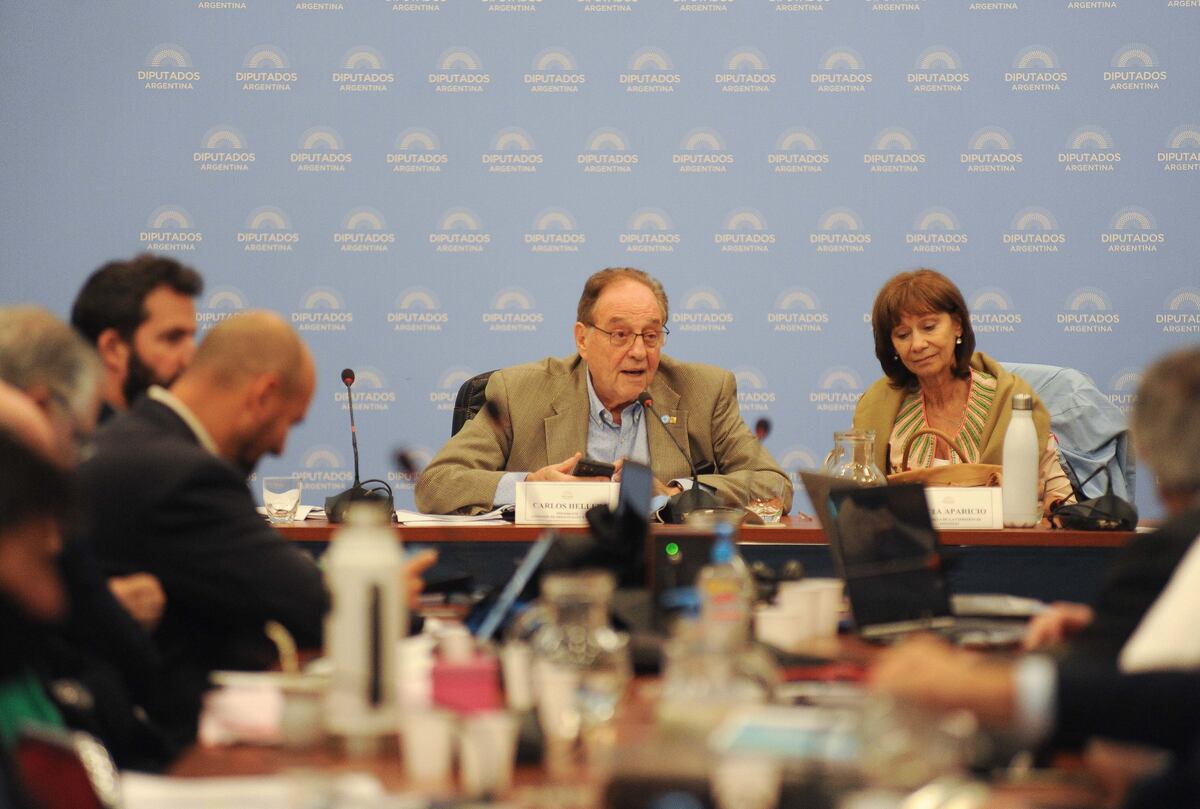 Principio de acuerdo en Diputados: acercan posiciones para modificar el proyecto con el FMI