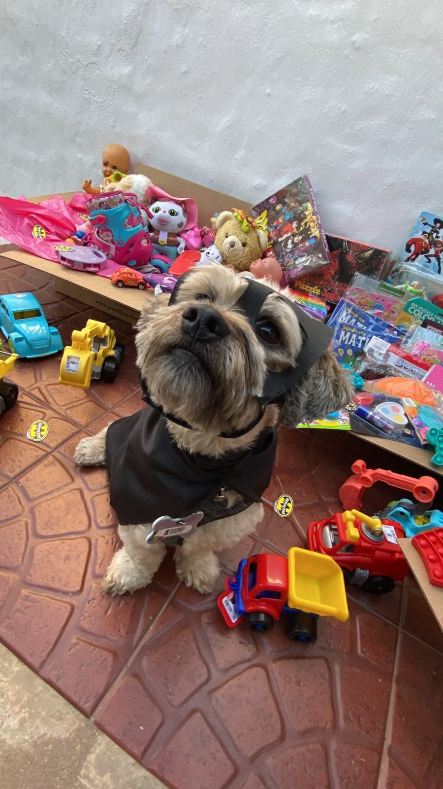 Batiperro en una colecta solidaria para niños.