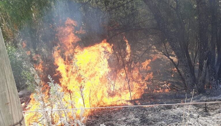 Incendio en Maipú