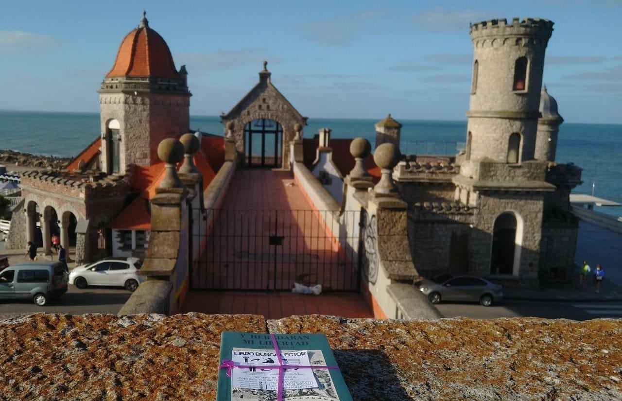 Desde hace cuatro años, la ONG Casa de 20 realiza una “Siembra de Libros”, pero ¿de qué se trata? Y ¿Cómo se puede formar parte de la iniciativa?