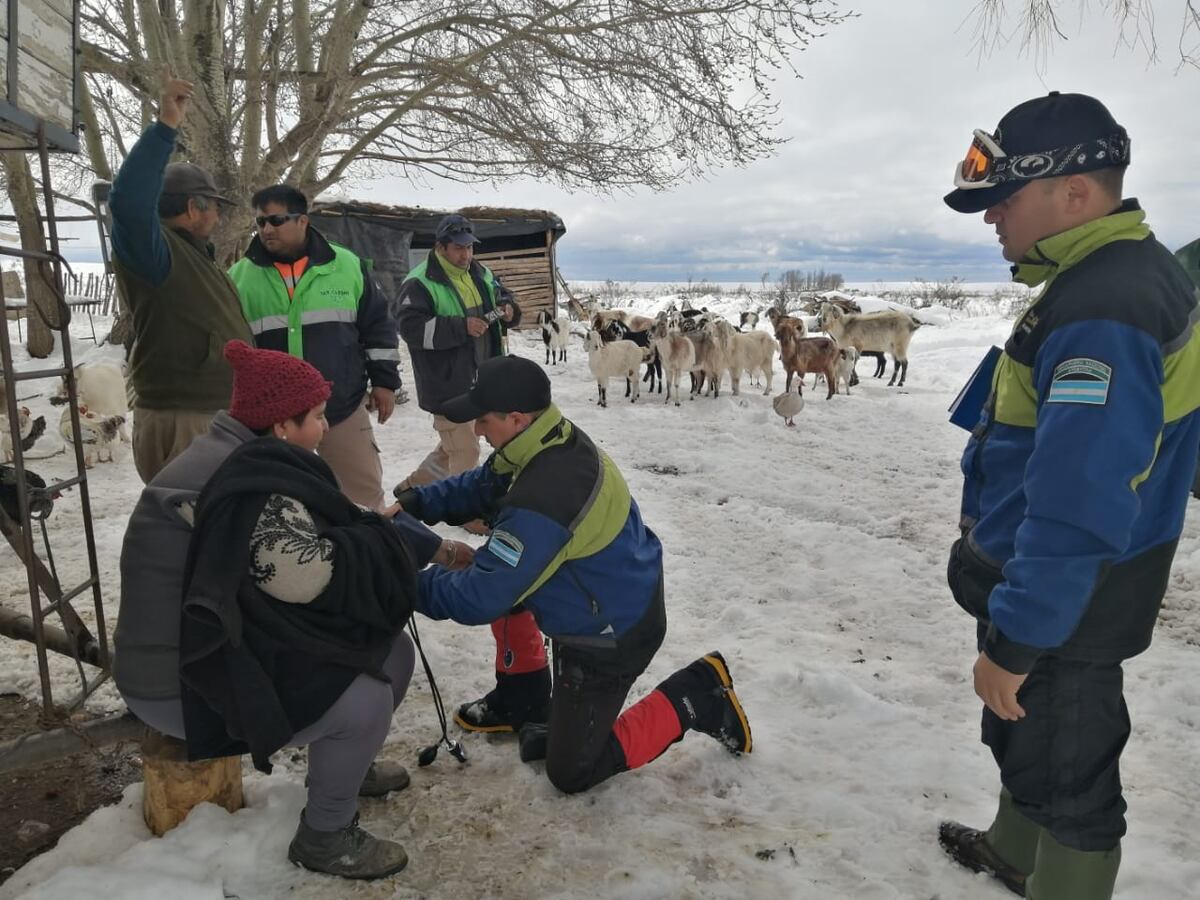 Desesperado momentos de familias aisladas por la nieve en alta montaña: fueron asistidas con comida y medicamentos