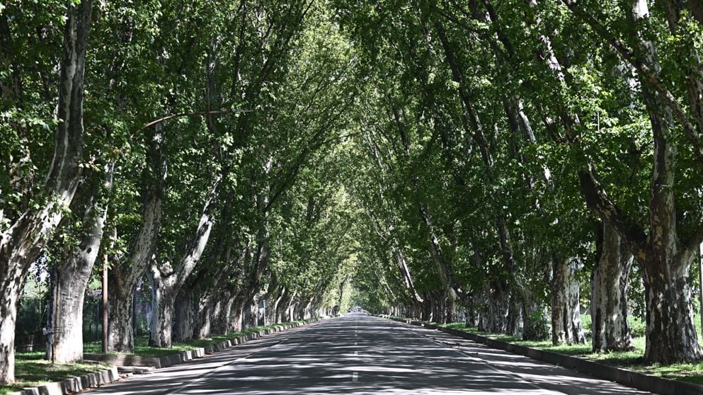 La avenida principal de Colonia Caroya.