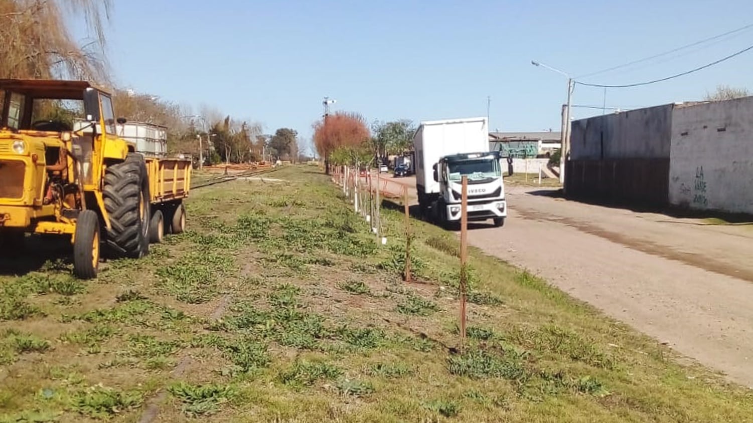 Plantación de árboles en Arroyito 2023