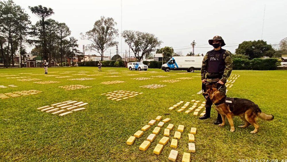 Secuestraron marihuana en Puerto Iguazú.