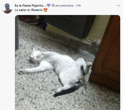 La ola de calor se siente en la provincia de Santa Fe y los santafesinos compartieron su humor en las redes.