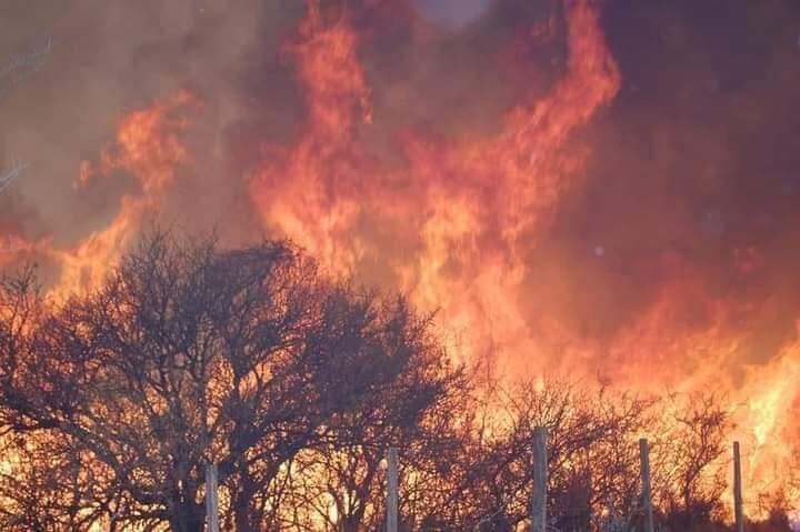 Bomberos Voluntarios de Cortaderas