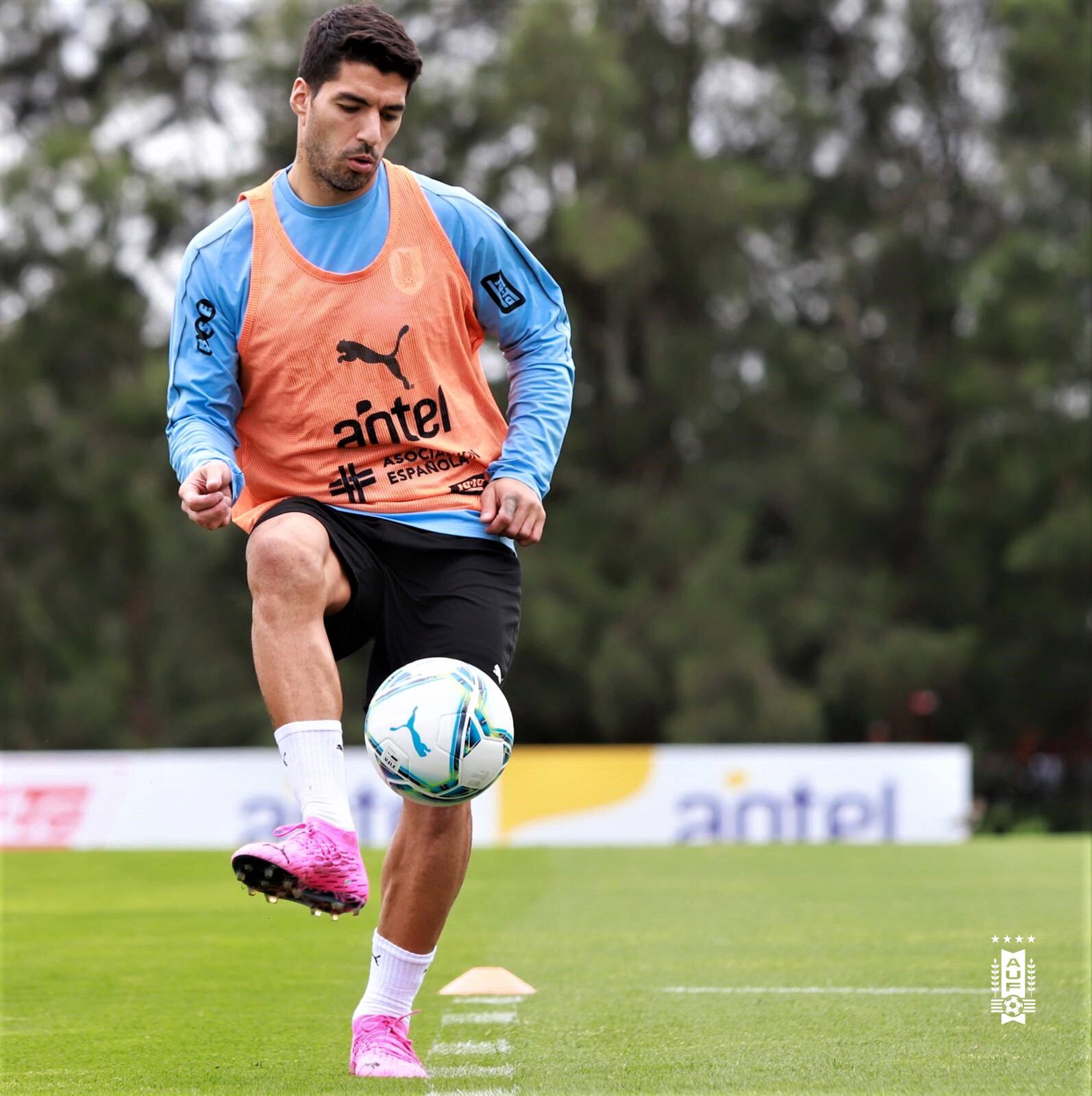 Luis Suárez en la Selección de Uruguay.