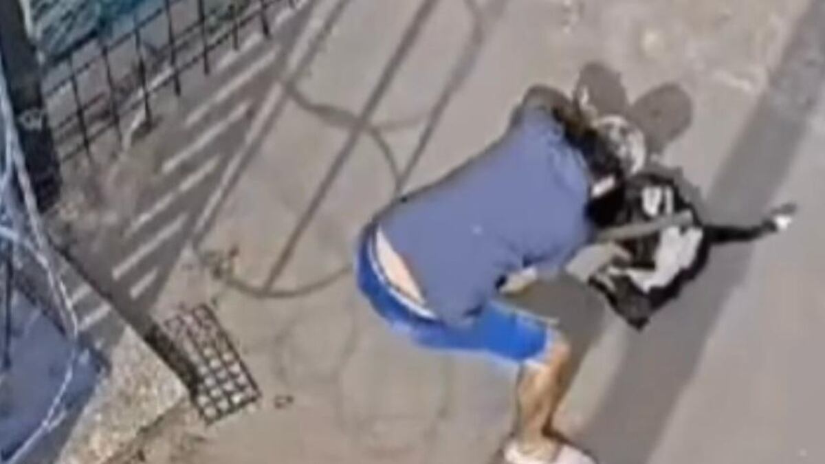 Habló el hermano del falso veterinario de Villa Allende que mató a golpes a un perro: “Que se haga cargo”