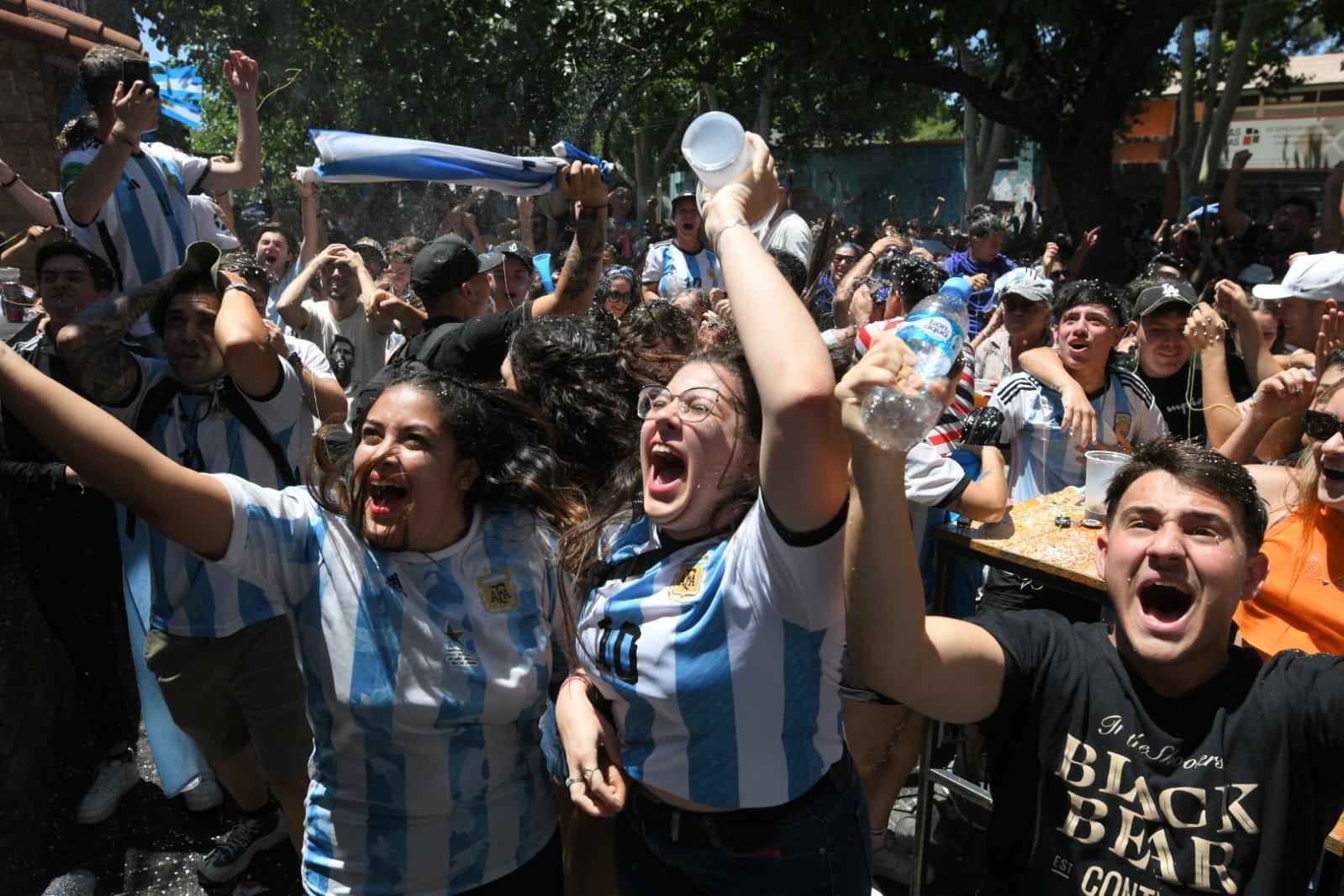 Festejo en Mendoza de Argentina Campeón.