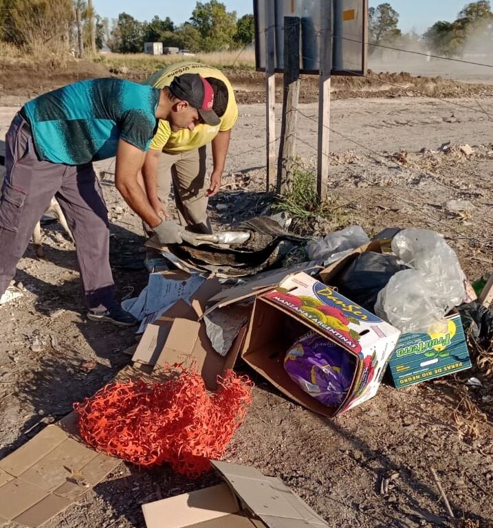 Tres Arroyos, trabajos semanales realizados por la Coordinación de Higiene Urbana