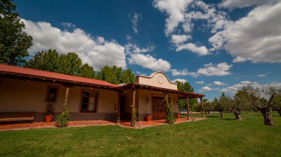 Finca Flichman, Maipú, Mendoza.