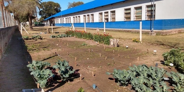 La Escuela Grecia tiene diferentes proyectos que apuntan a la sustentabilidad de la comunidad educativa.