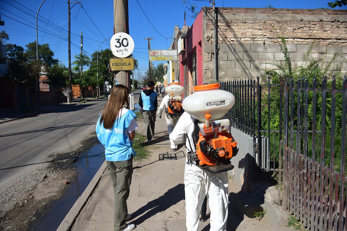 Dengue en Córdoba: los casos siguen en baja y se redujeron en un 40 por ciento