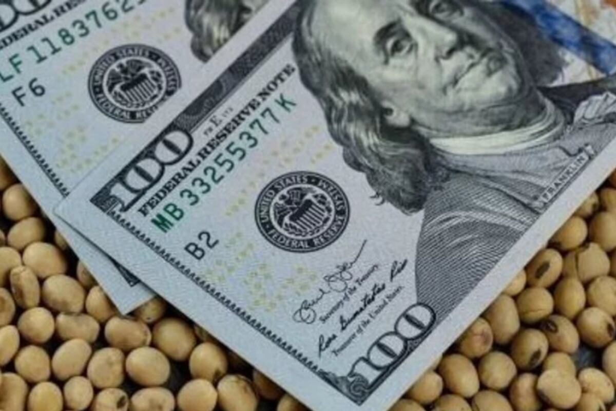 FMI: el Gobierno se acerca a la meta de reservas prometida gracias al dólar soja