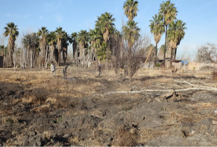 Incendios en Guaymallén