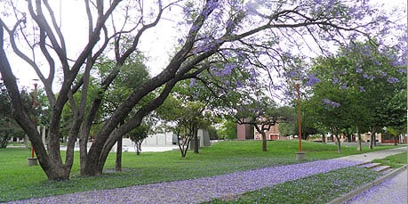 Brinkmann, el jardín de Ansenuza