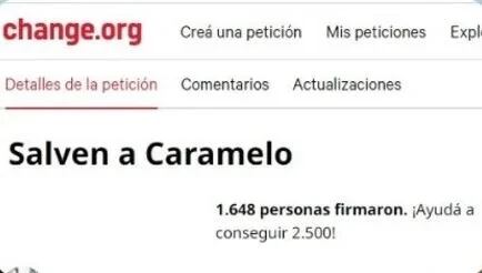 La campaña para salvar a Caramelo