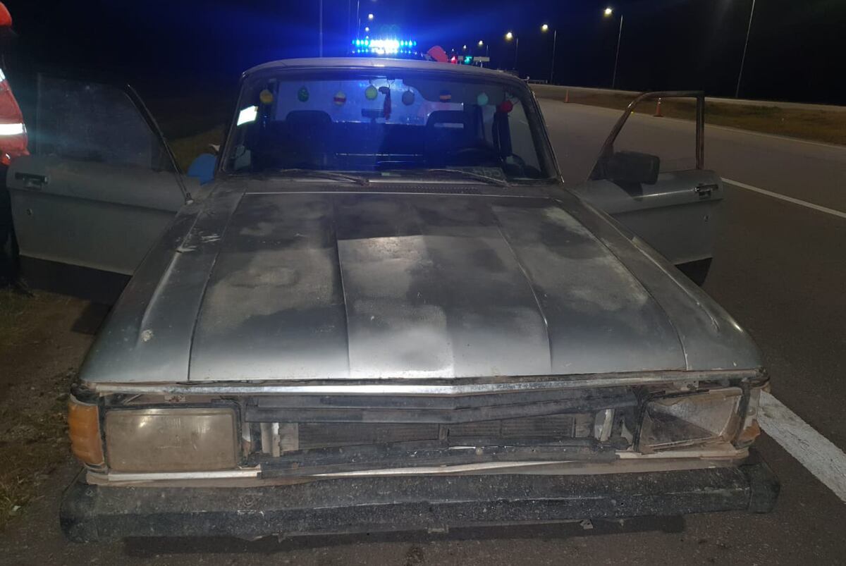 Córdoba: llevaban ocho lechones robados, en el baúl