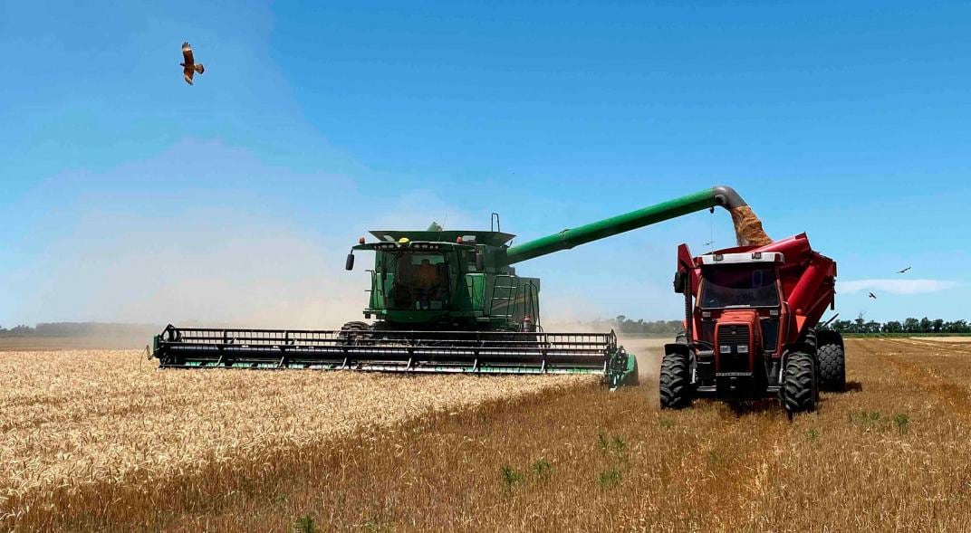 La nueva norma les suma 45 días a las primeras tres categorías de deudores agropecuarios. Foto: Tomy Fragueiro / Archivo.