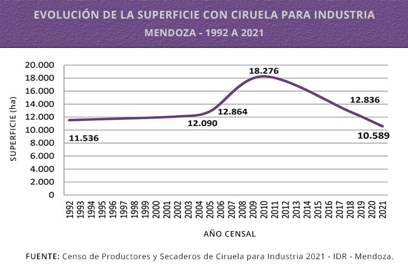 Censo superficies