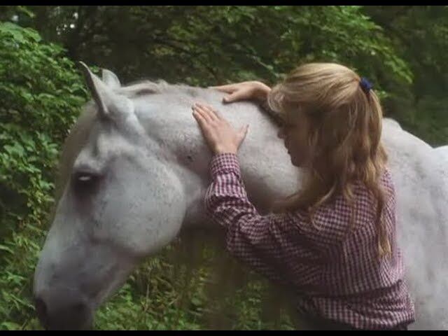 El caballo de la princesa.