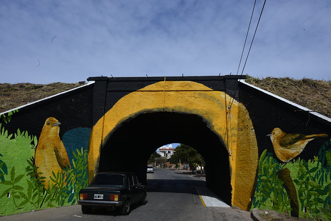 "Nido de hornero", en San Vicente. 