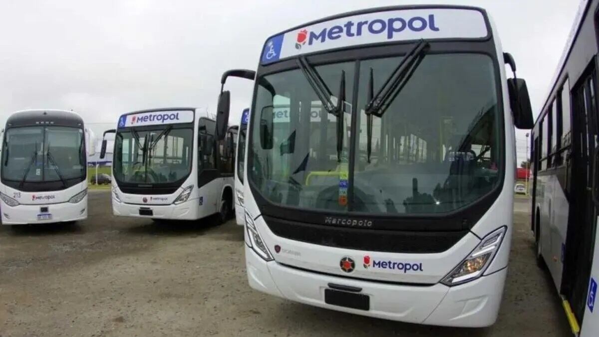 Paro de colectivos: la provincia quiere avanzar en la quita de la concesión a la empresa de transporte Metropol