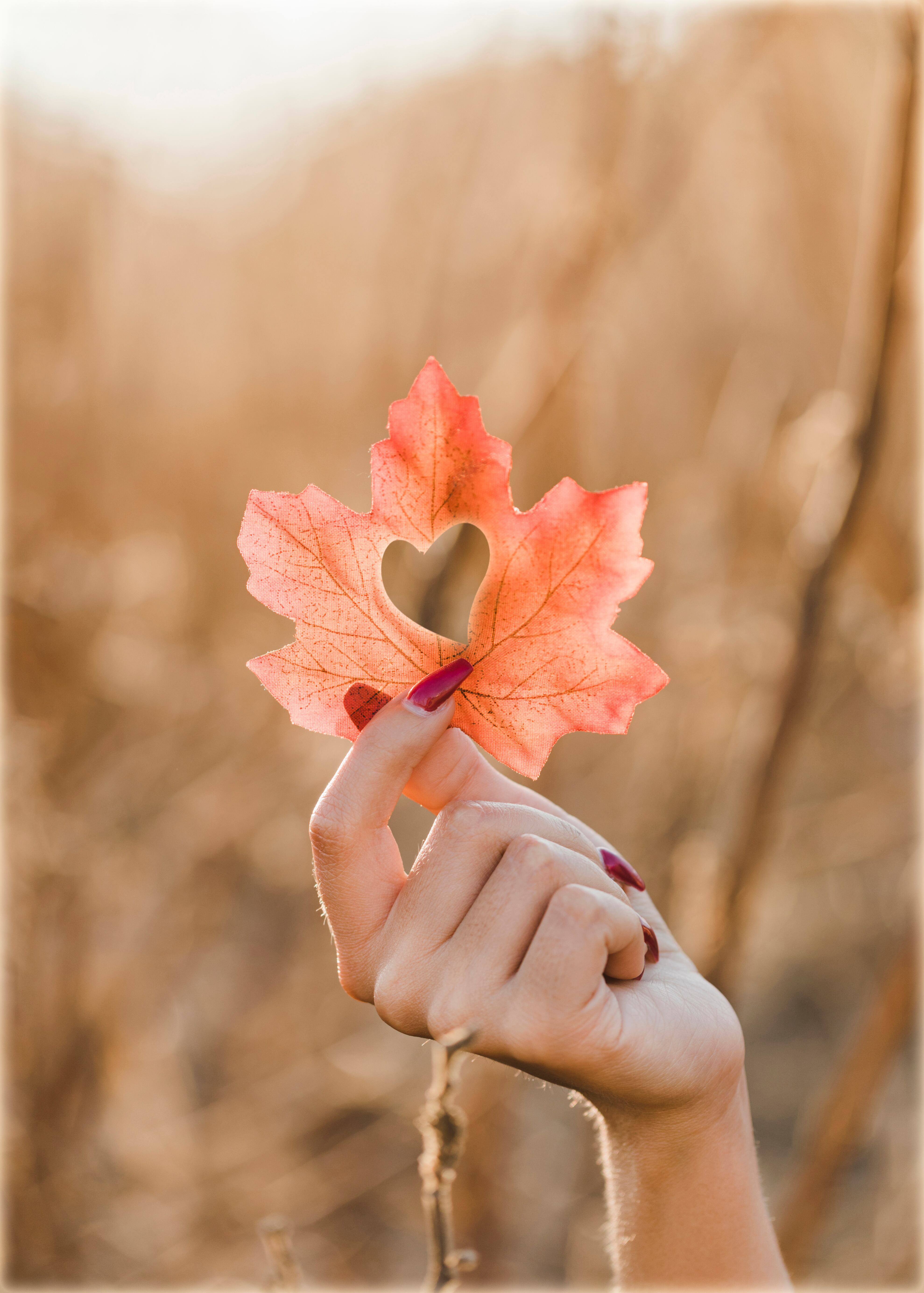 Llega el otoño y se puede hacer el ritual del equilibrio.