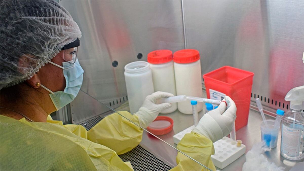 Nueva variante de COVID: qué se sabe de la AY.4.2 que acecha al Reino Unido