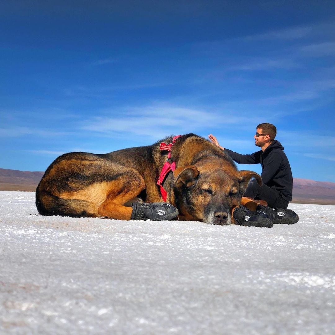 Foxy y Guido en las Salinas Grandes de Jujuy.