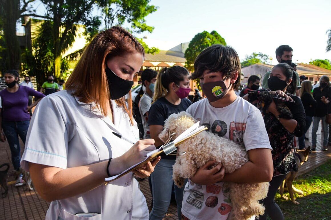 Operativo de zoonosis en Eldorado.