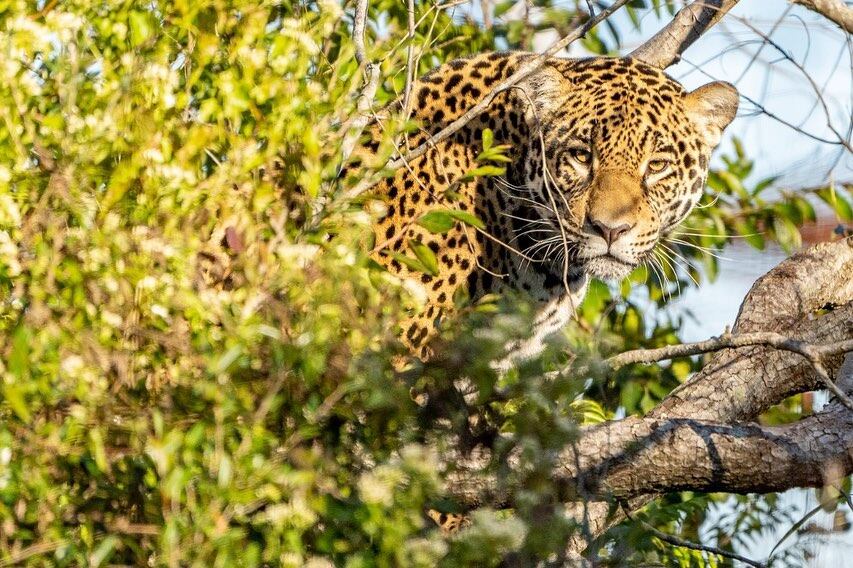 Malú viajó de Uruguay a Corrientes y ya se encuentra en el Parque Iberá.