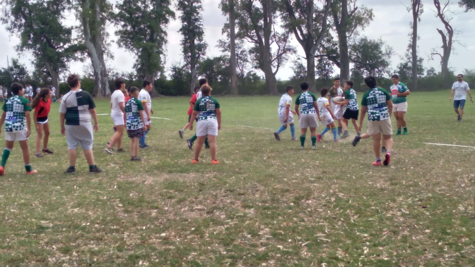 Los Halcones rugby Transito