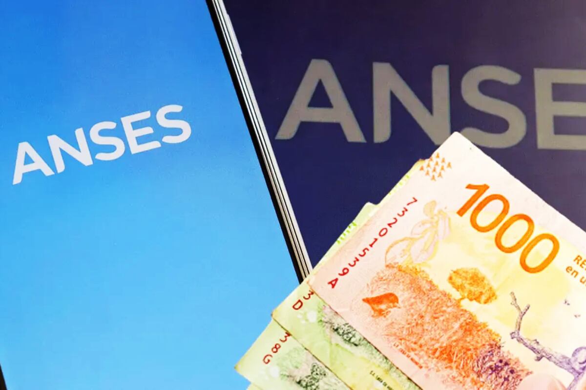 ANSES confirmó de cuánto es el monto por AUH y Tarjeta Alimentar en enero de 2026