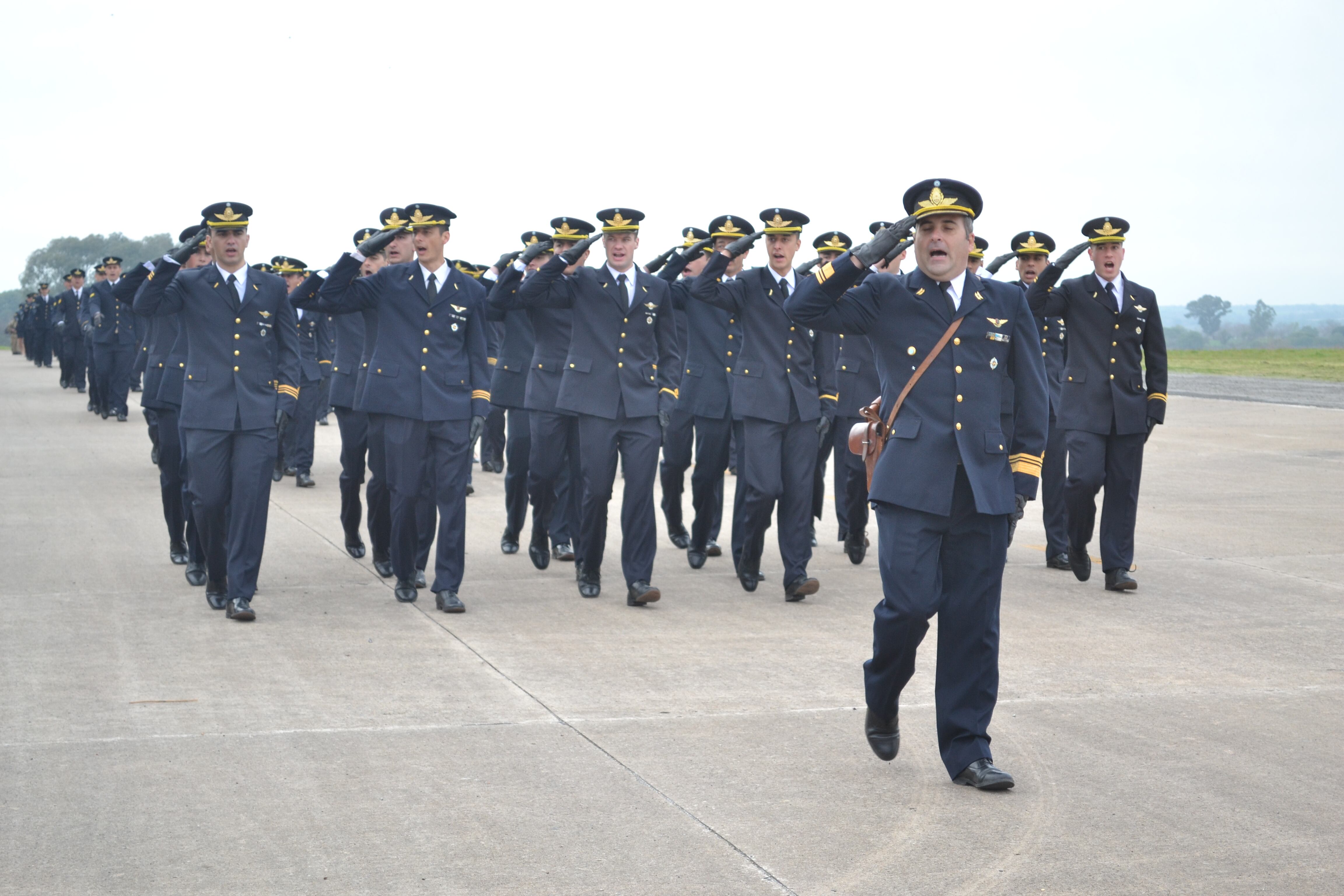 Fuerza Aerea Argentina