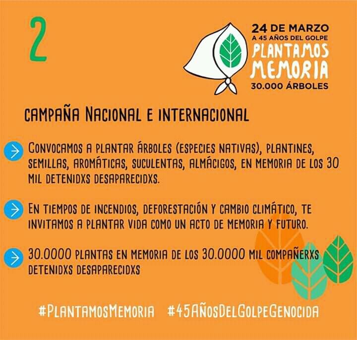 La APDH invita a la población a sumarse a la plantación de 30 mil árboles.