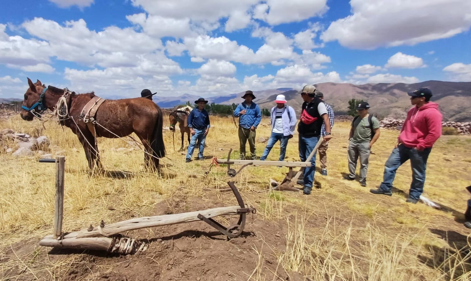 Alumnos que cursan Mecanización Agrícola de la Carrera de Ingeniería Agronómica de la Facultad de Ciencias Agrarias de la UNJu realizando prácticas en la localidad de Rodero, Humahuaca. En la jornada abordaron temáticas vinculadas a la siembra de maíz, habas y cebollas, tracción animal, mecanización y agricultura familiar.