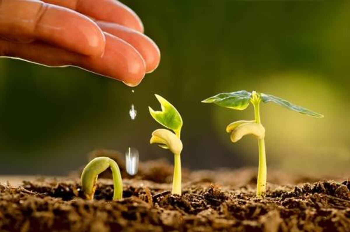 Cambio climático, agricultura familiar y recursos hídricos entre los temas del taller de Fontagro