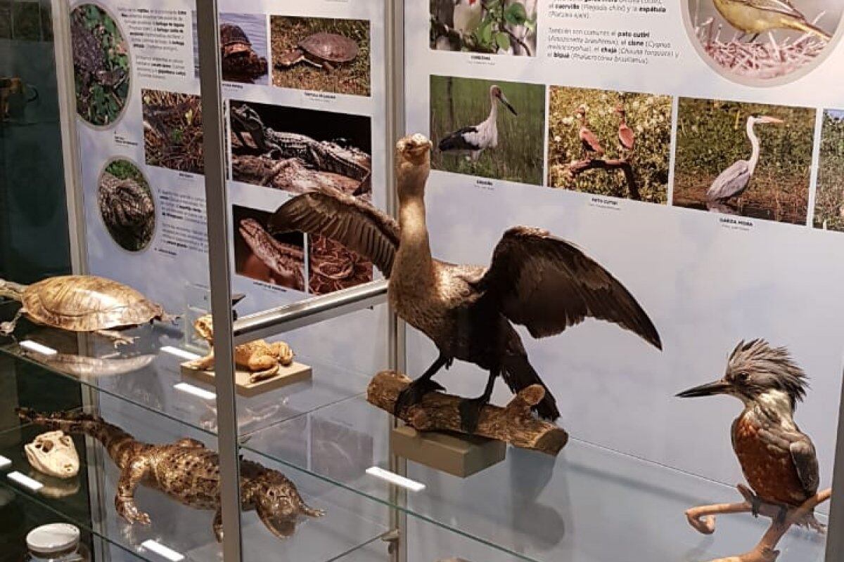 Museos de Gualeguaychú