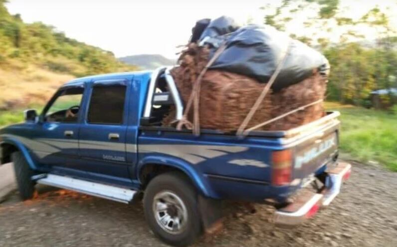 Disparos durante una negociación de tabaco en Pozo Azul deja un herido. Imagen ilustrativa.