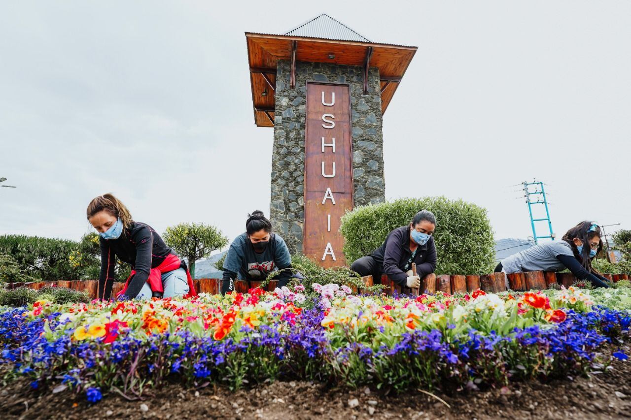 Bajo el programa de embellecimiento de la ciudad se realizó la plantación de flores y arbustos en las distintas rotondas de ingreso a la ciudad.