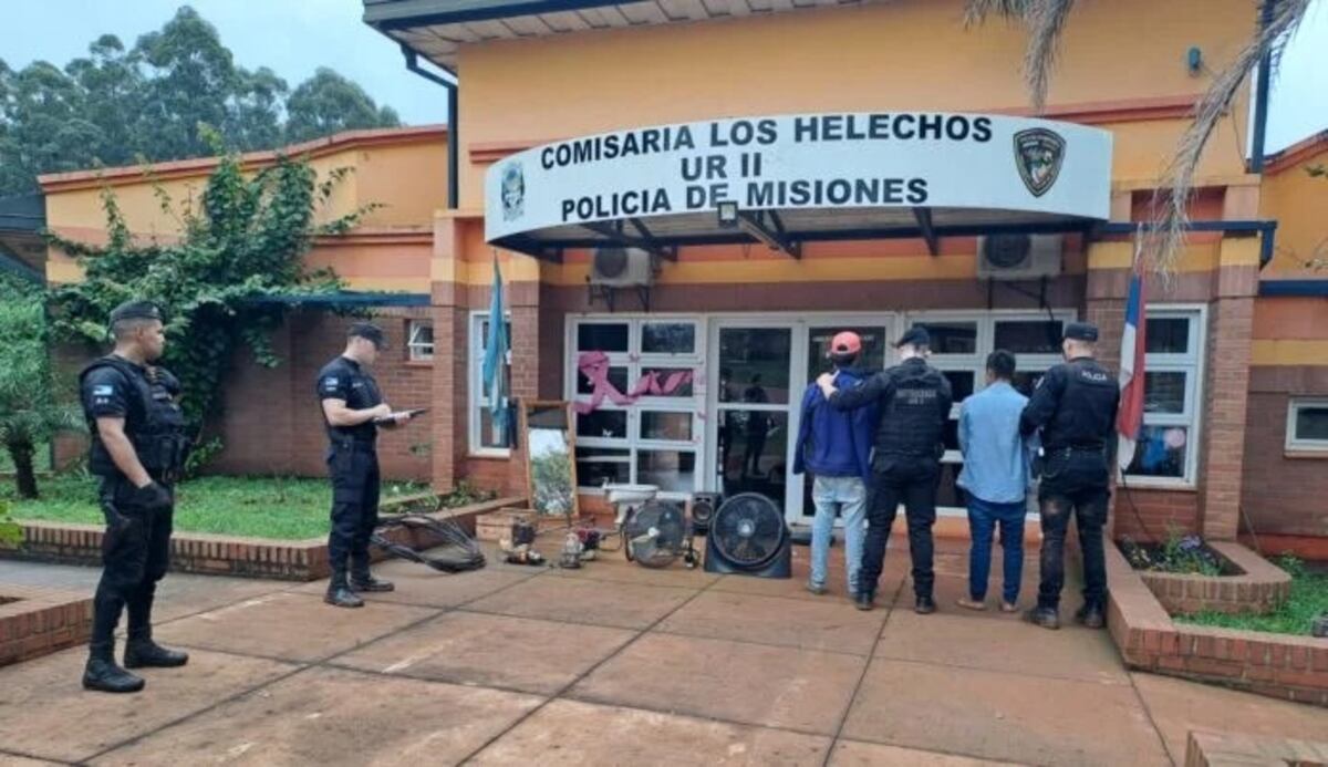 Dos jóvenes con frondoso prontuario delictivo fueron detenidos en Los Helechos
